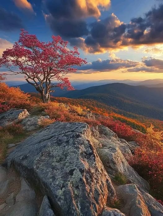 Old Rag Mountain, Shenandoah region, Virginia